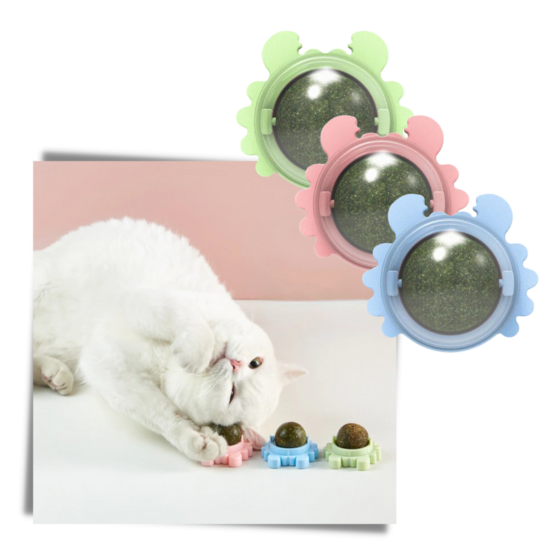 Jouet boule de menthe rotative pour chat