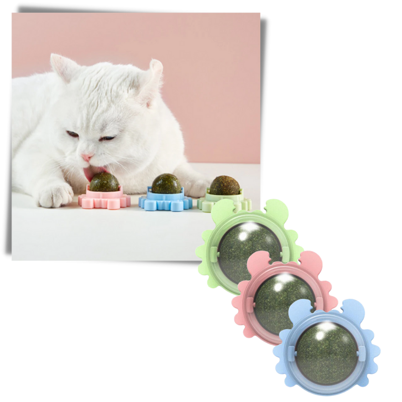 Jouet boule de menthe rotative pour chat