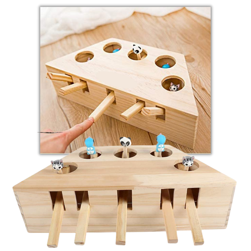 Jouet interactif en bois à 5 trous pour chat
