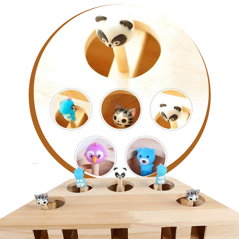 Jouet interactif en bois à 5 trous pour chat