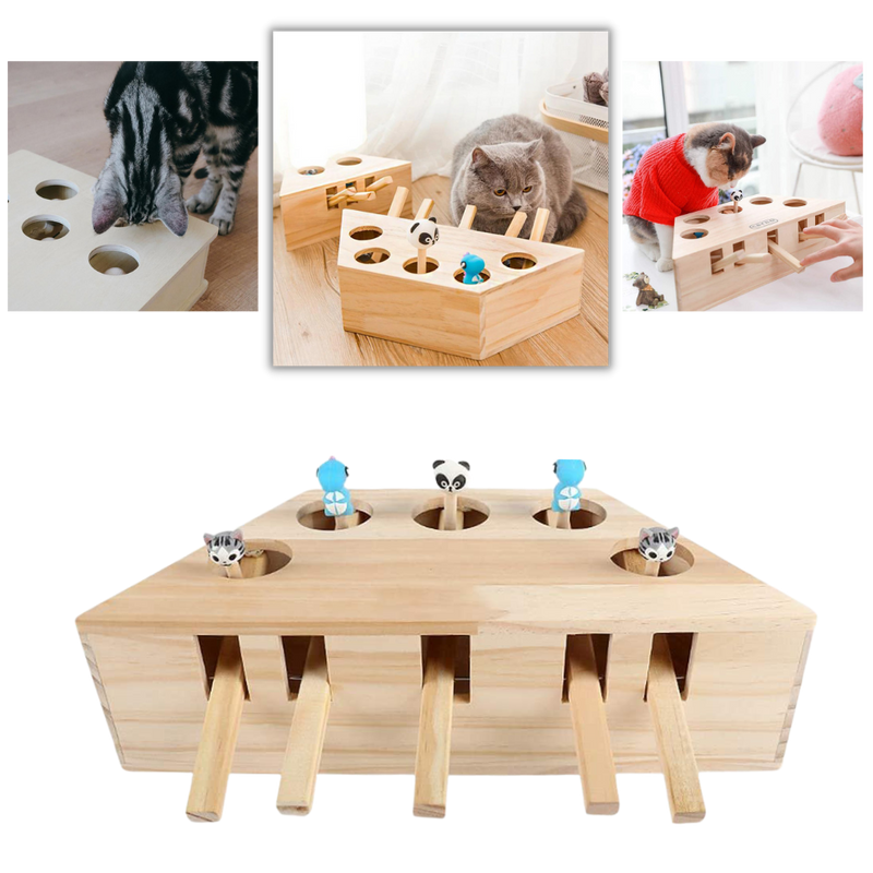 Jouet interactif en bois à 5 trous pour chat