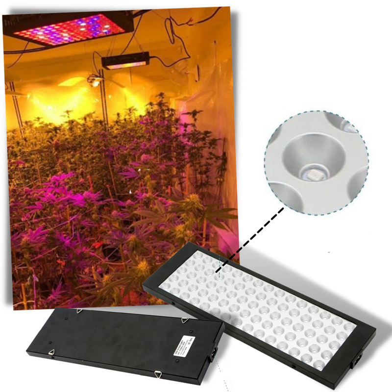 Lampe de culture LED suspendue à spectre complet