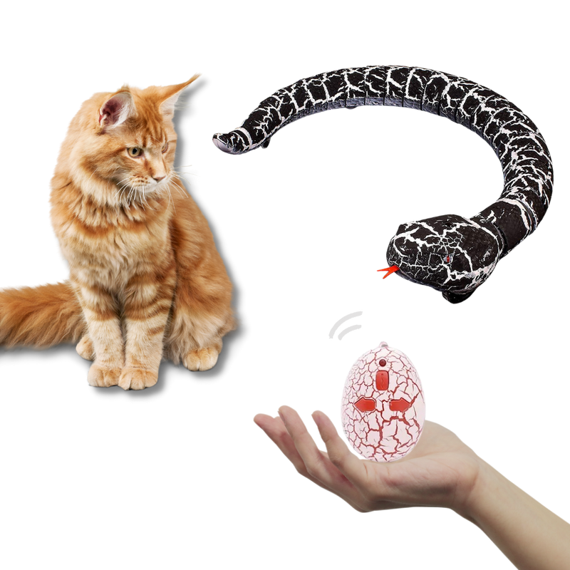 Jouet serpent interactif télécommandé pour chat