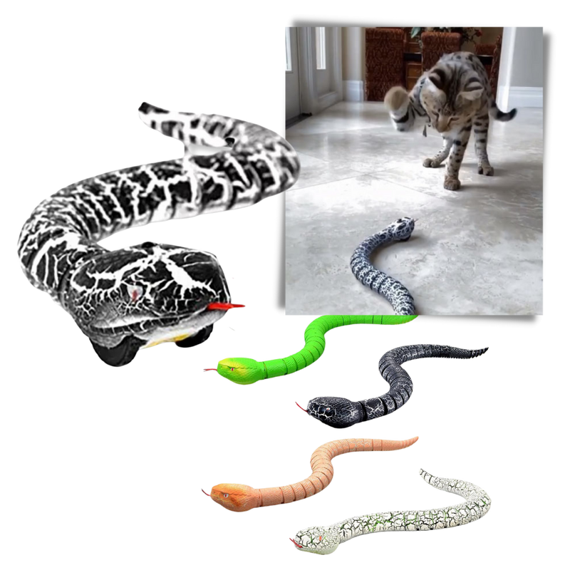 Jouet serpent interactif télécommandé pour chat