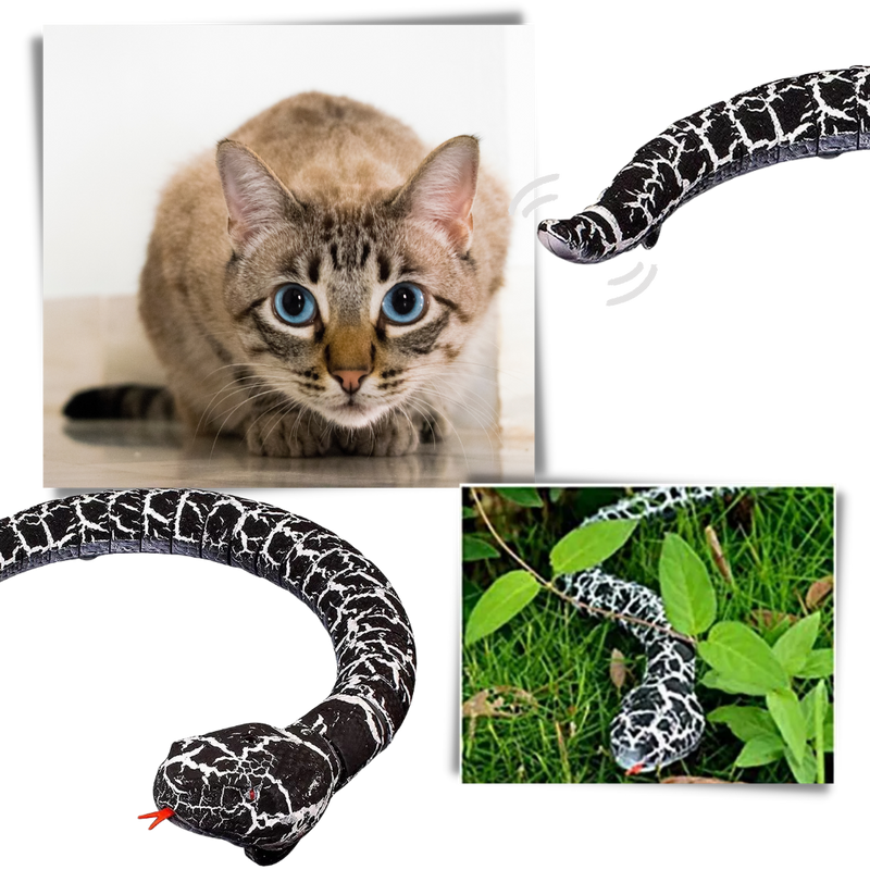 Jouet serpent interactif télécommandé pour chat