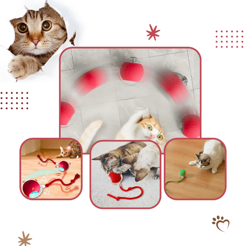 Jouet interactif intelligent pour chats