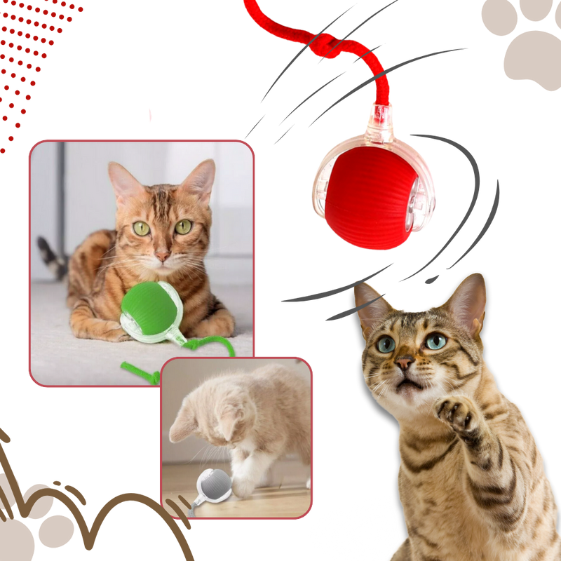 Jouet interactif intelligent pour chats